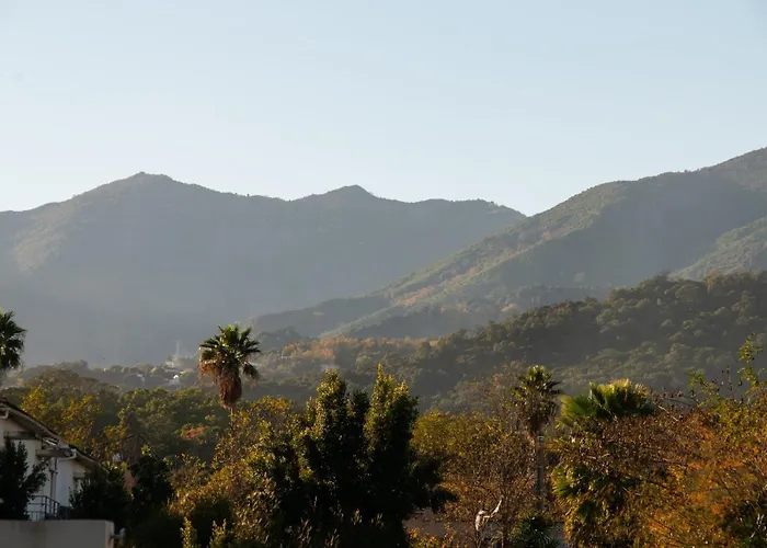 Poggio Mezzana Santa-Lucia-di-Moriani